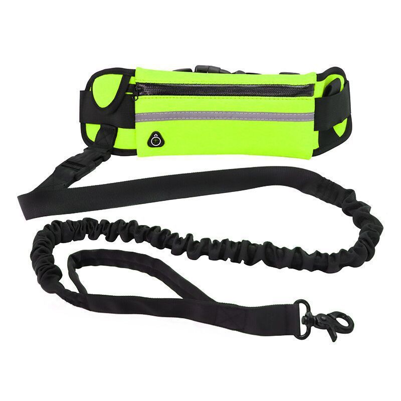 Jogger's Dog Leash With Pouch