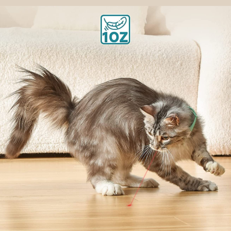 Laser Collar Cat Toy