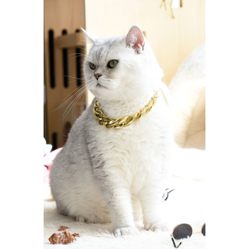 Gold And Silver Bling Chain With Sunglasses