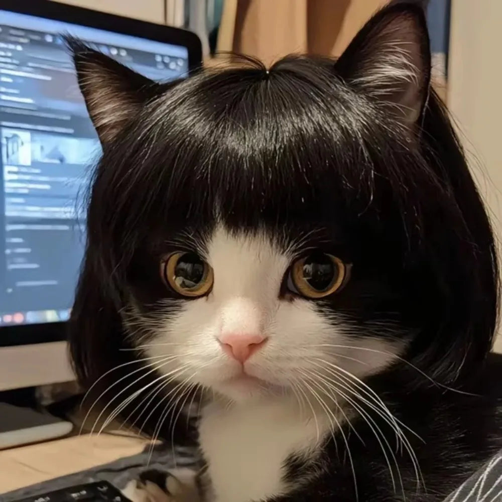 Cute Pet Wig Costume