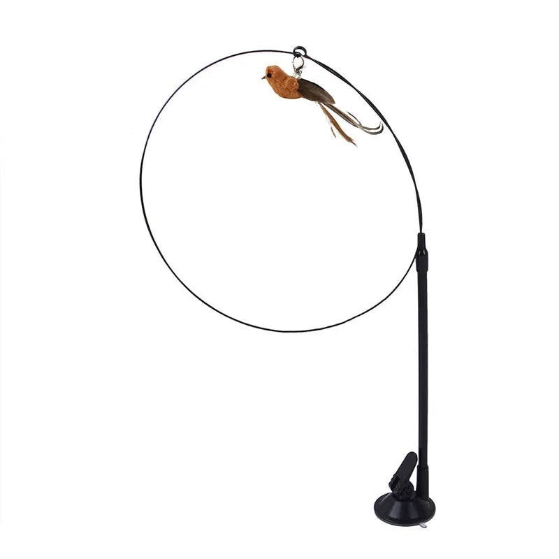 Simulated Bird Cat Teaser