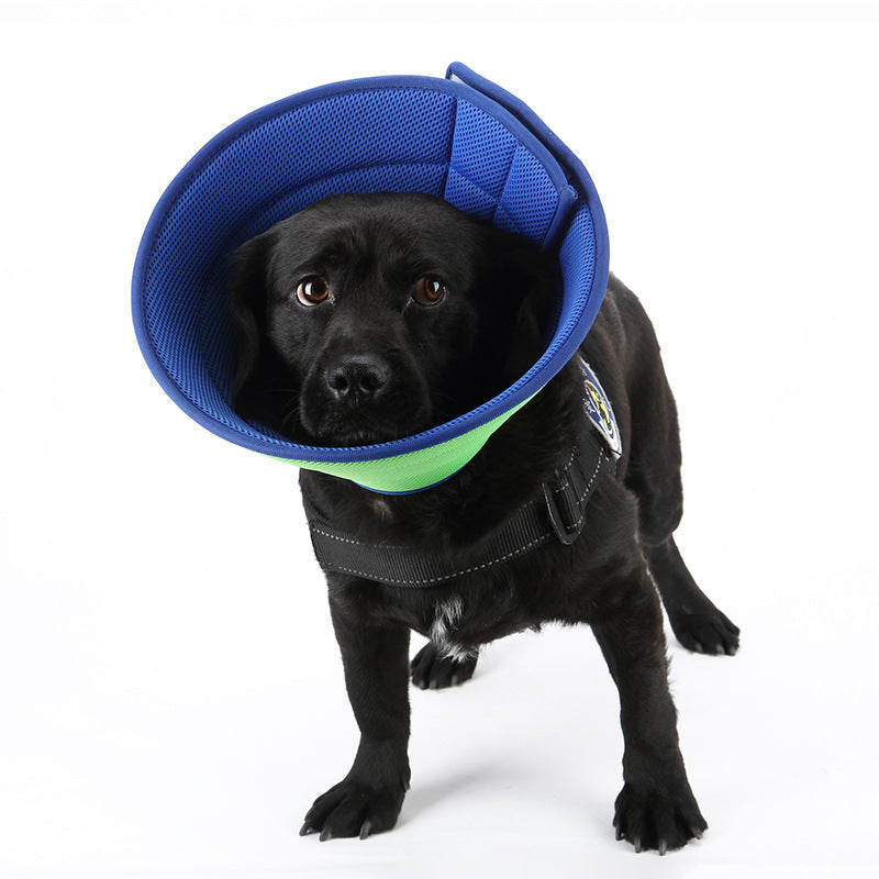 Medical Recovery Collar