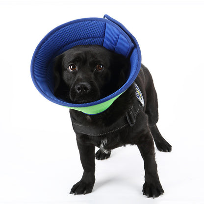 Medical Recovery Collar