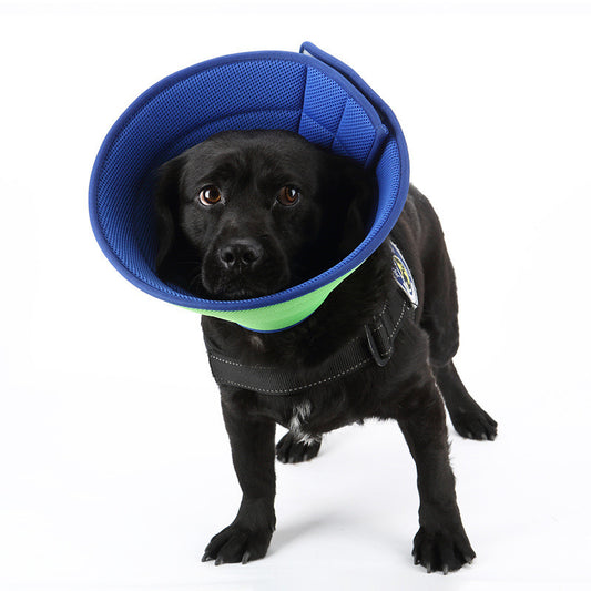 Medical Recovery Collar
