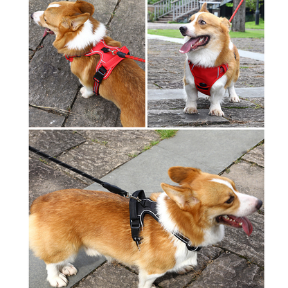 Reflective And Breathable Pet Harness