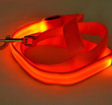 LED Dog Leash