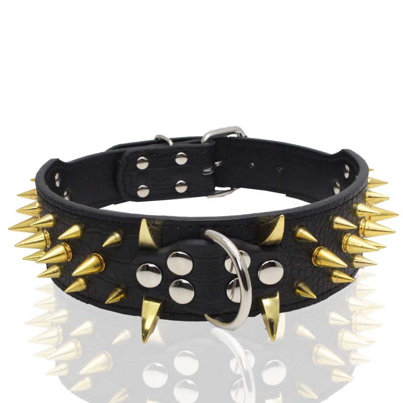 Black leather dog collar with gold spikes