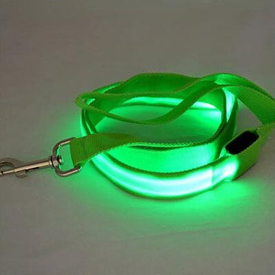 LED Dog Leash