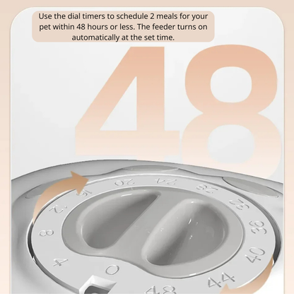 Timed Automatic Pet Feeder