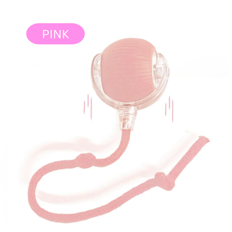 Interactive Rolling Ball Toy