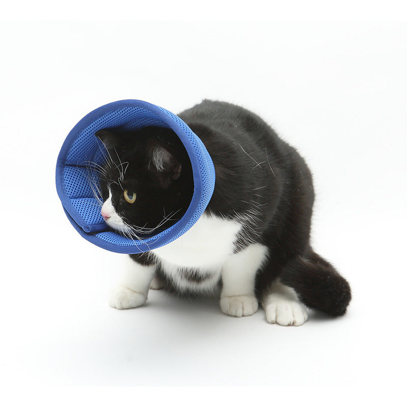 Medical Recovery Collar