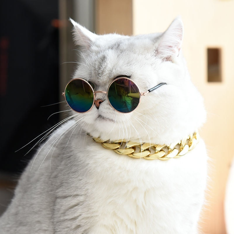 Cat wearing round sunglasses and a gold chain collar