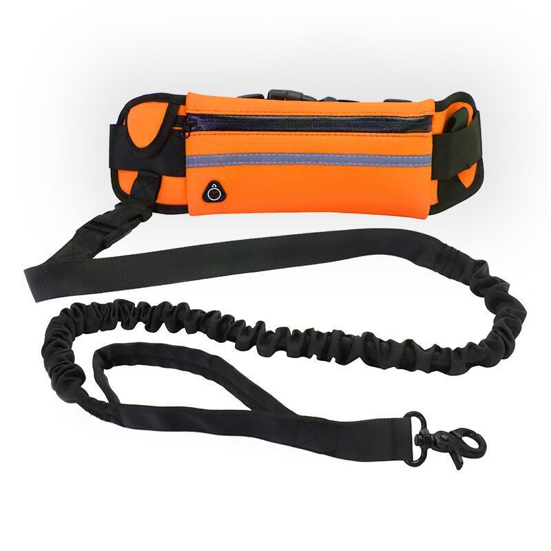 Jogger's Dog Leash With Pouch
