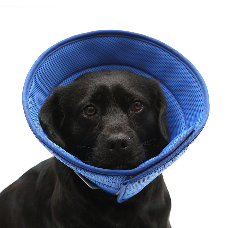 Medical Recovery Collar