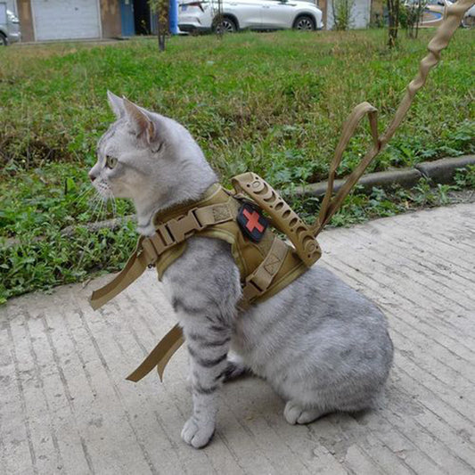 Cat tactical harness