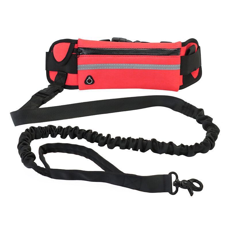 Jogger's Dog Leash With Pouch