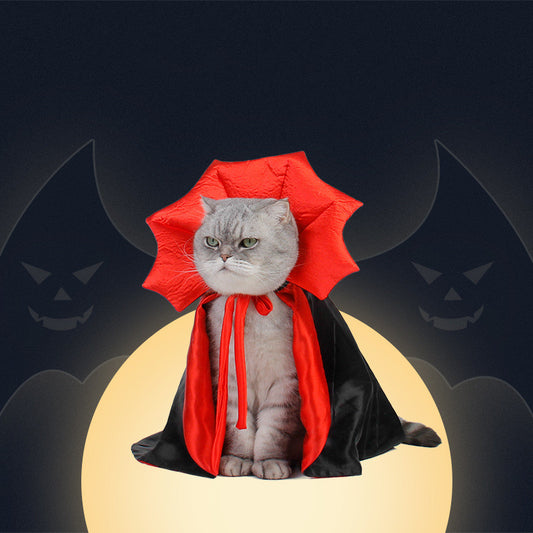 Dracula Halloween Cape