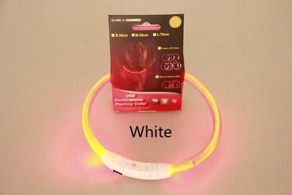 Glowing LED safety Collar