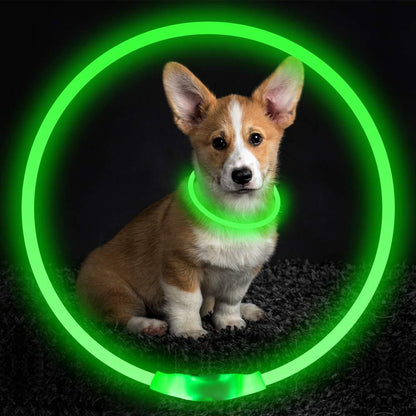 Glowing LED safety Collar