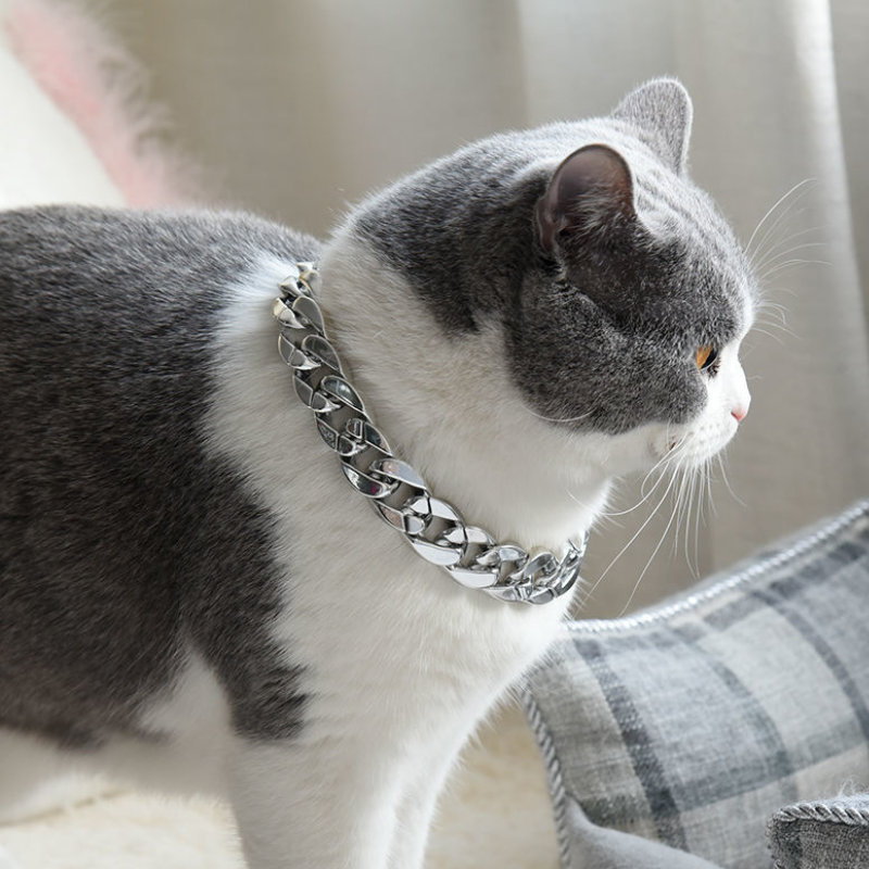 Gold And Silver Bling Chain With Sunglasses