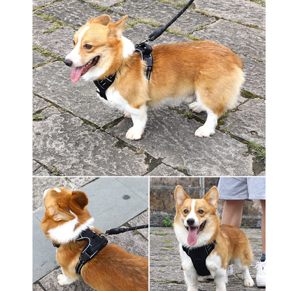 Reflective And Breathable Pet Harness