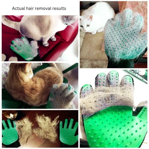 Hair Removal Glove Brush