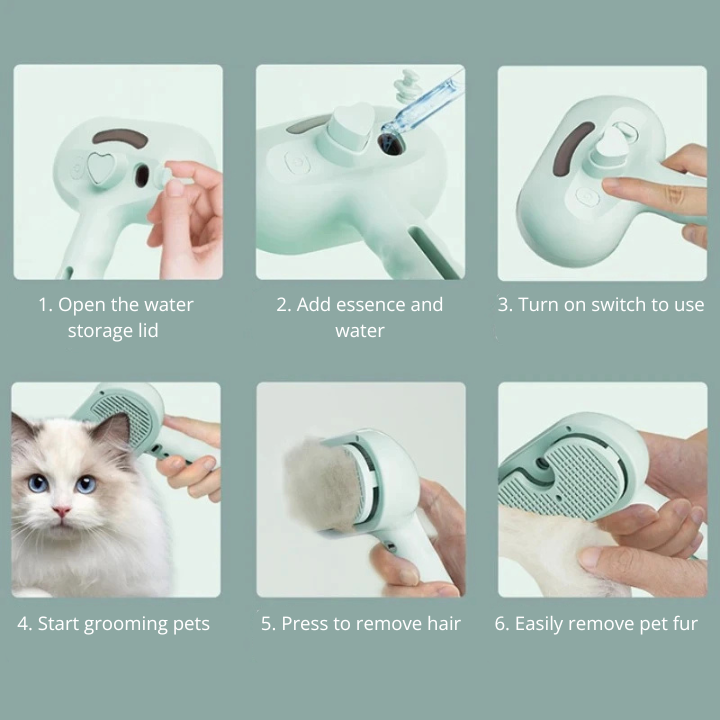 Steam Spray Hair Removal Brush