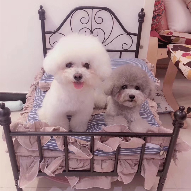 Luxury Steel Frame Pet Beds