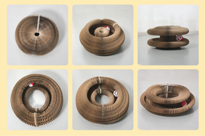 Magic Organ Scratching Toy