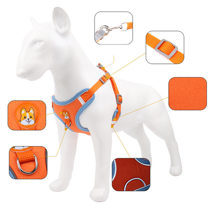 Reflective Soft Harness And Leash Set