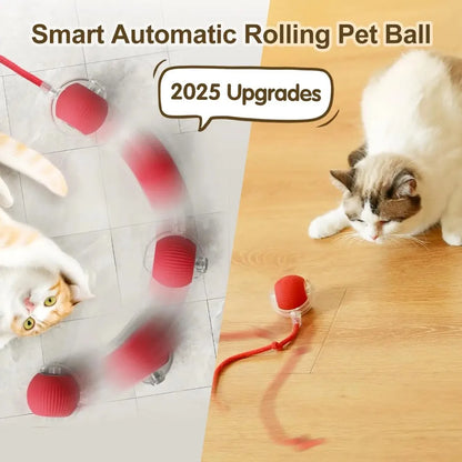 Interactive Rolling Ball Toy