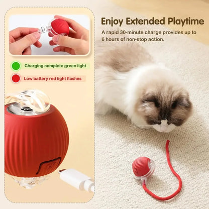 Interactive Rolling Ball Toy