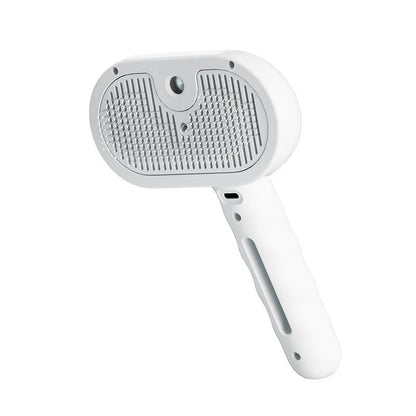 Steam Spray Hair Removal Brush