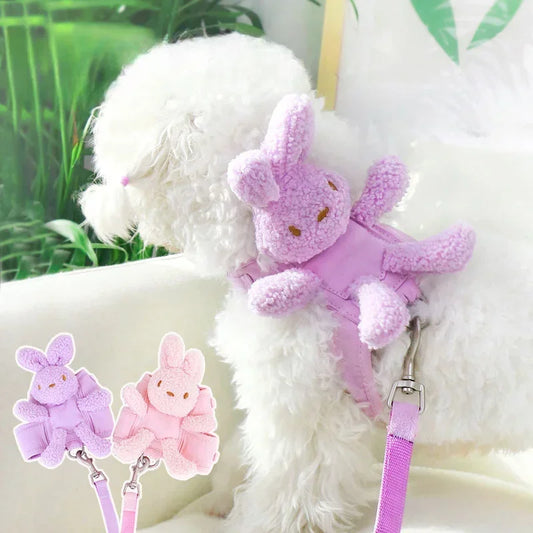 Cute Bunny Harness and Leash
