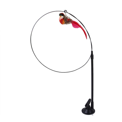 Simulated Bird Cat Teaser