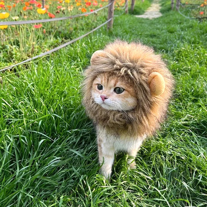 Lion Mane Costume