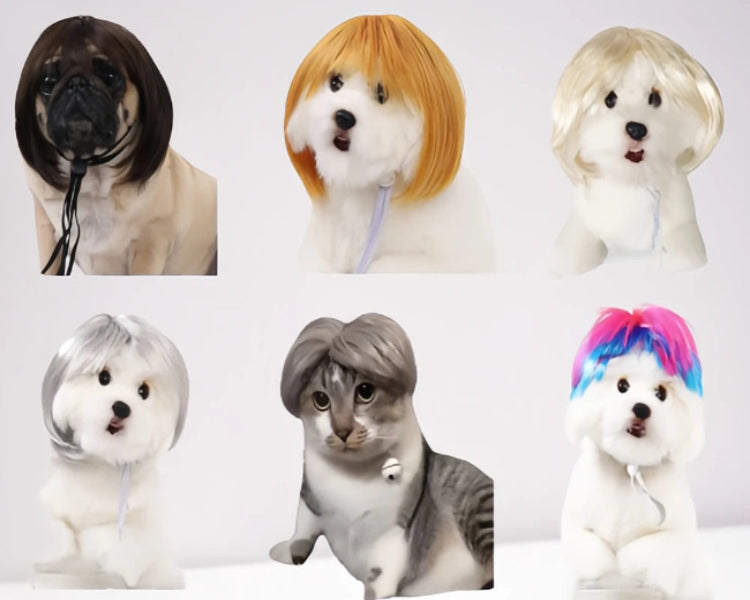 Cute Pet Wig Costume