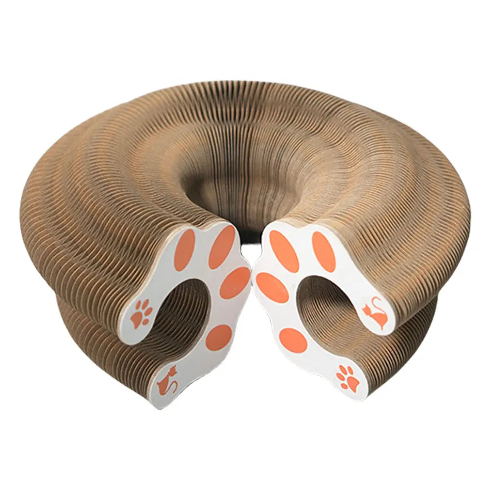 Magic Organ Scratching Toy