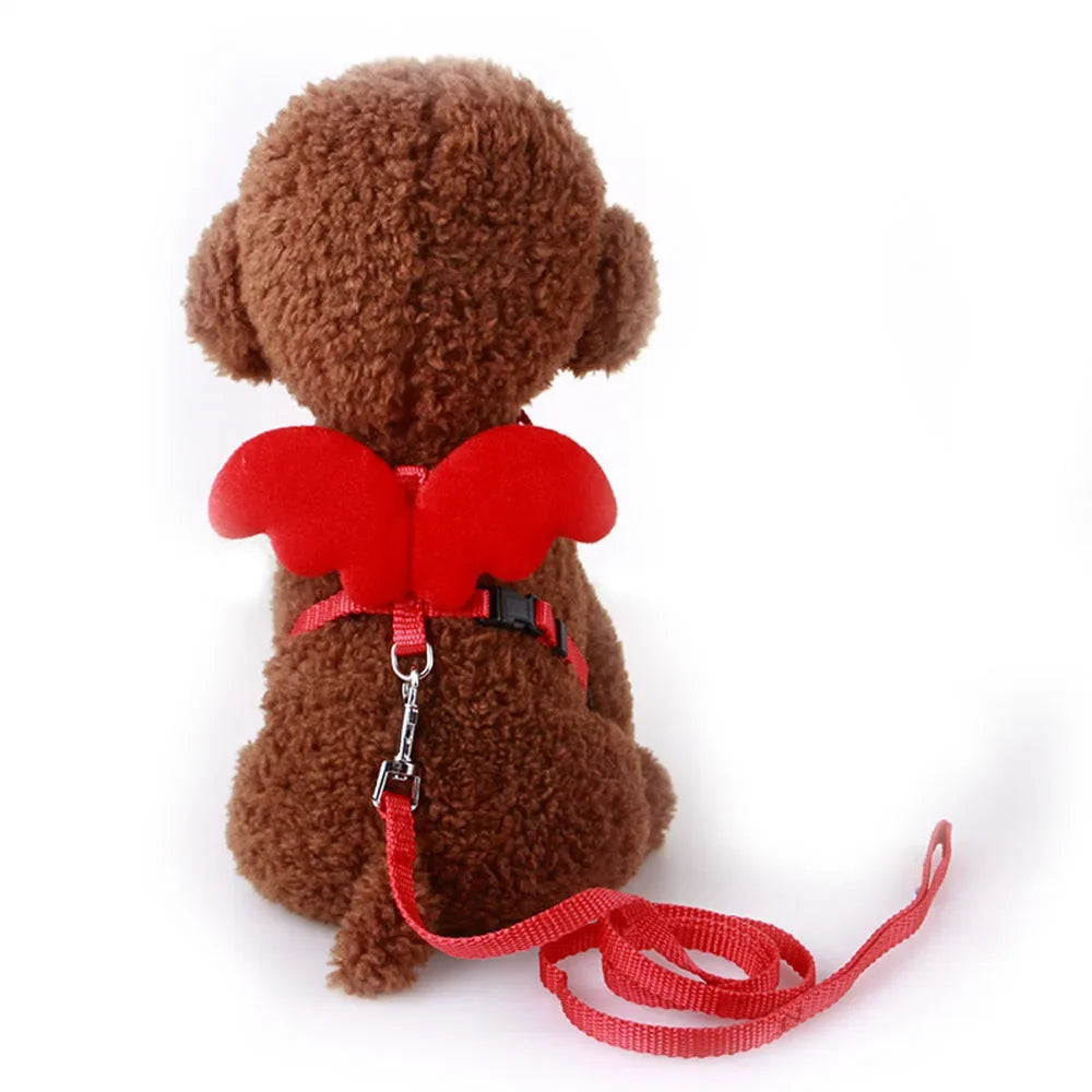 Angel Wings Harness and Lead