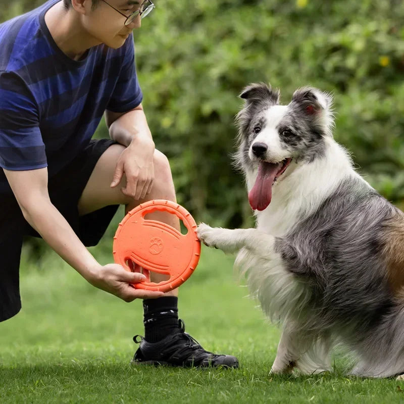 Tug-Of-War Frisbee