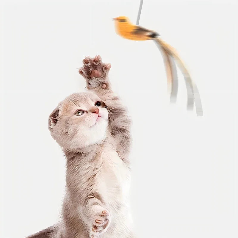 Simulated Bird Cat Teaser