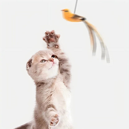 Simulated Bird Cat Teaser