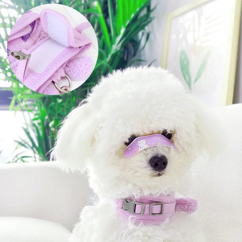 Cute Bunny Harness and Leash