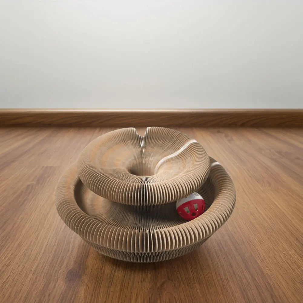 Magic Organ Scratching Toy