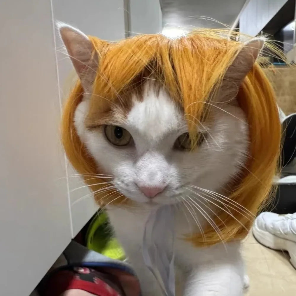 Cute Pet Wig Costume