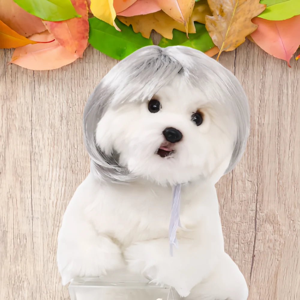 Cute Pet Wig Costume