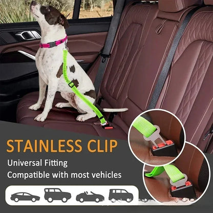 Elastic Nylon Dog Seat Belt