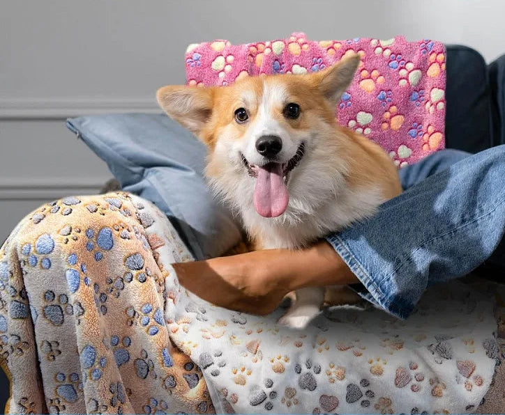 Soft And Fluffy Pet Blanket