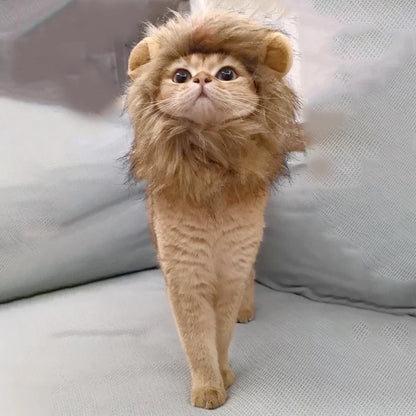 Lion Mane Costume