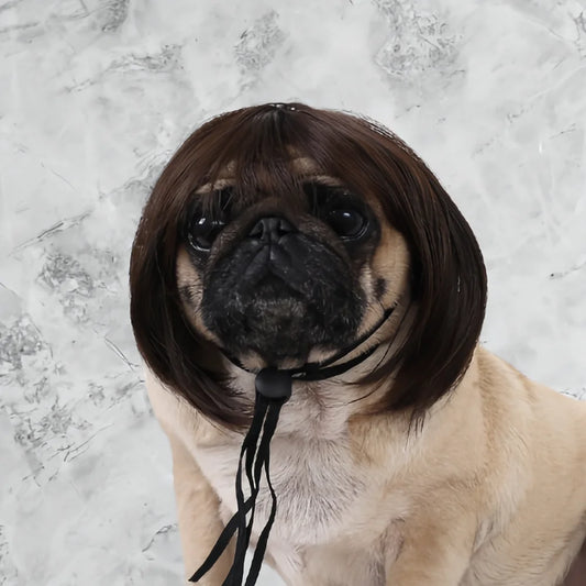 Cute Pet Wig Costume